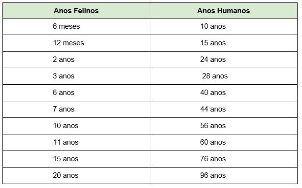 tabela idade gato