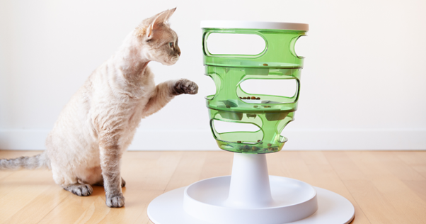 Een wit met grijze kat in interactie met een puzzelvoederhuisje met gaatjes waar de kat aan kan krabben om bij de lekkernijen te komen.