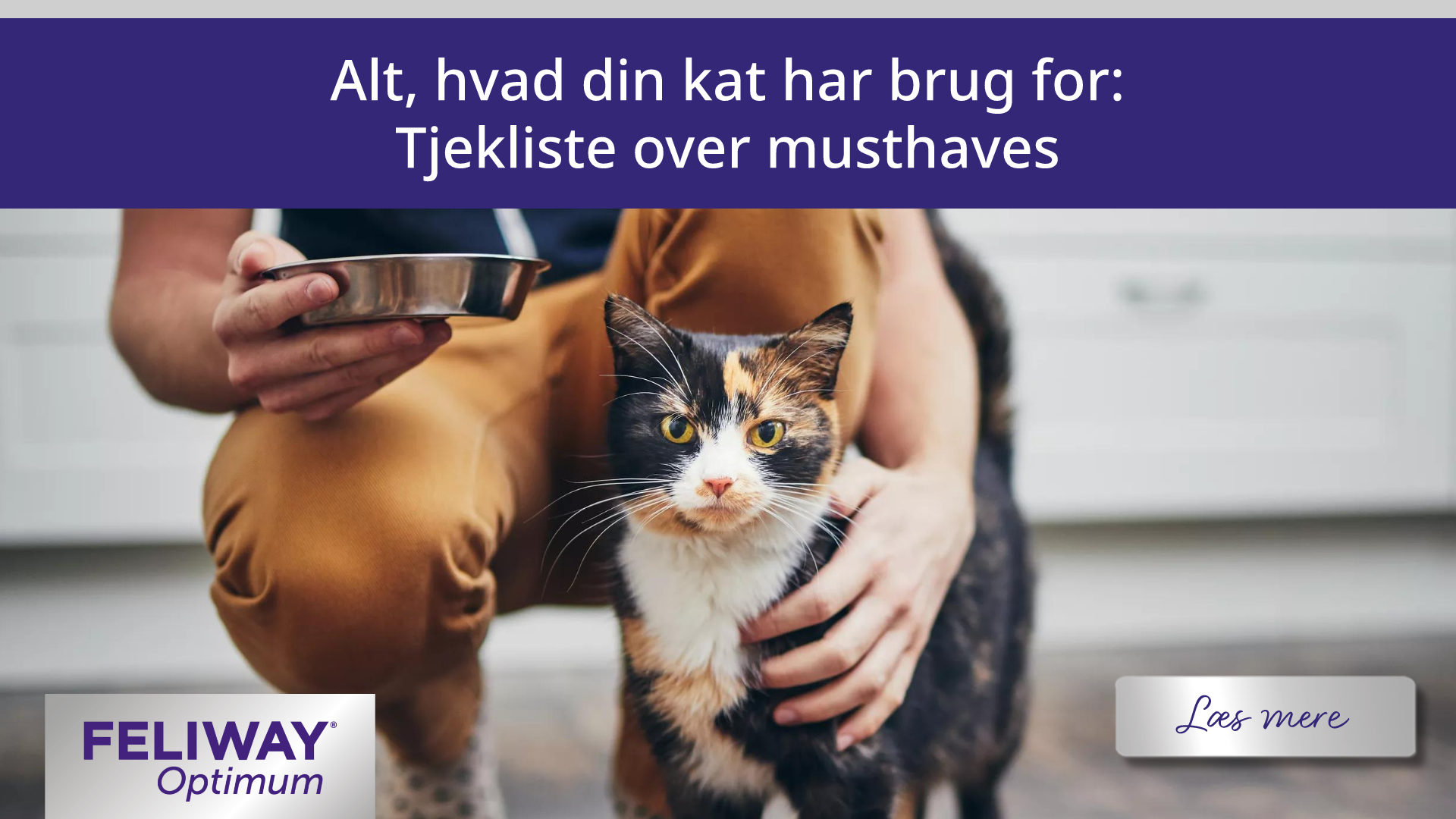 Alt, hvad din kat har brug for: Tjekliste over musthaves