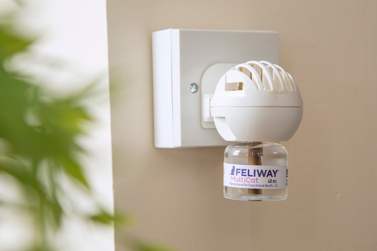 feliway diffuser plug in