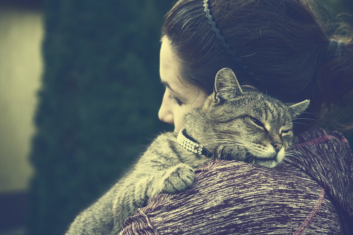 woman with reassured kitten on carpet