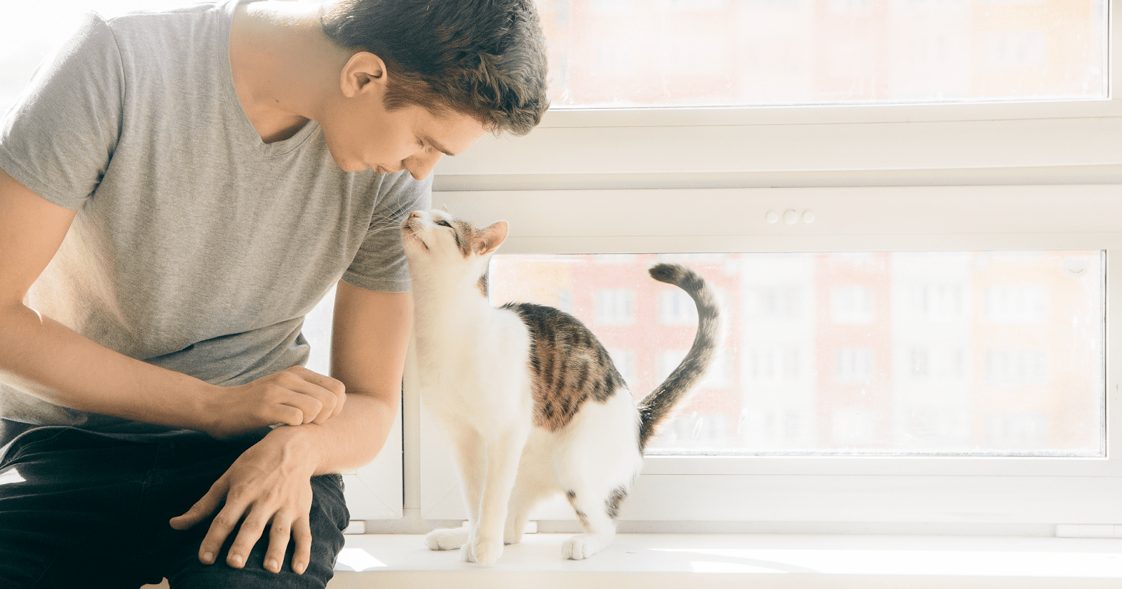 cat sat on window ledge with male owner