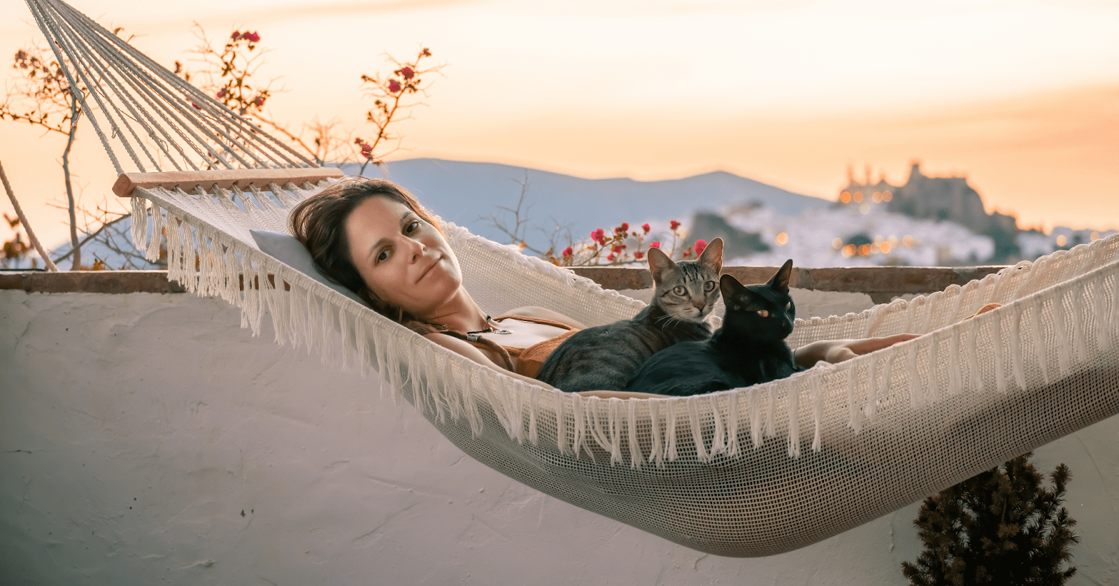 2 cats in a hammock with lady owner