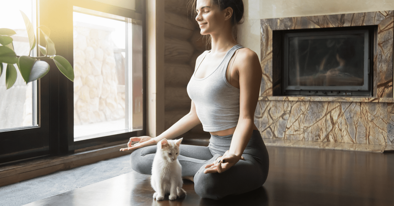 white cat sitting with lady doing yoga