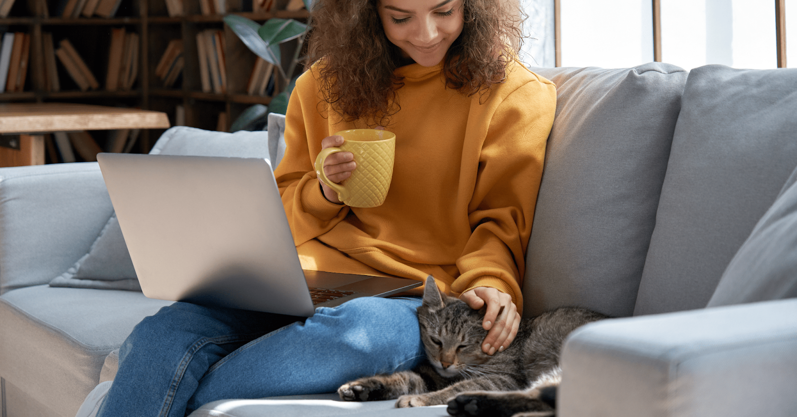 tabby cat sat with lady on sofa with laptop