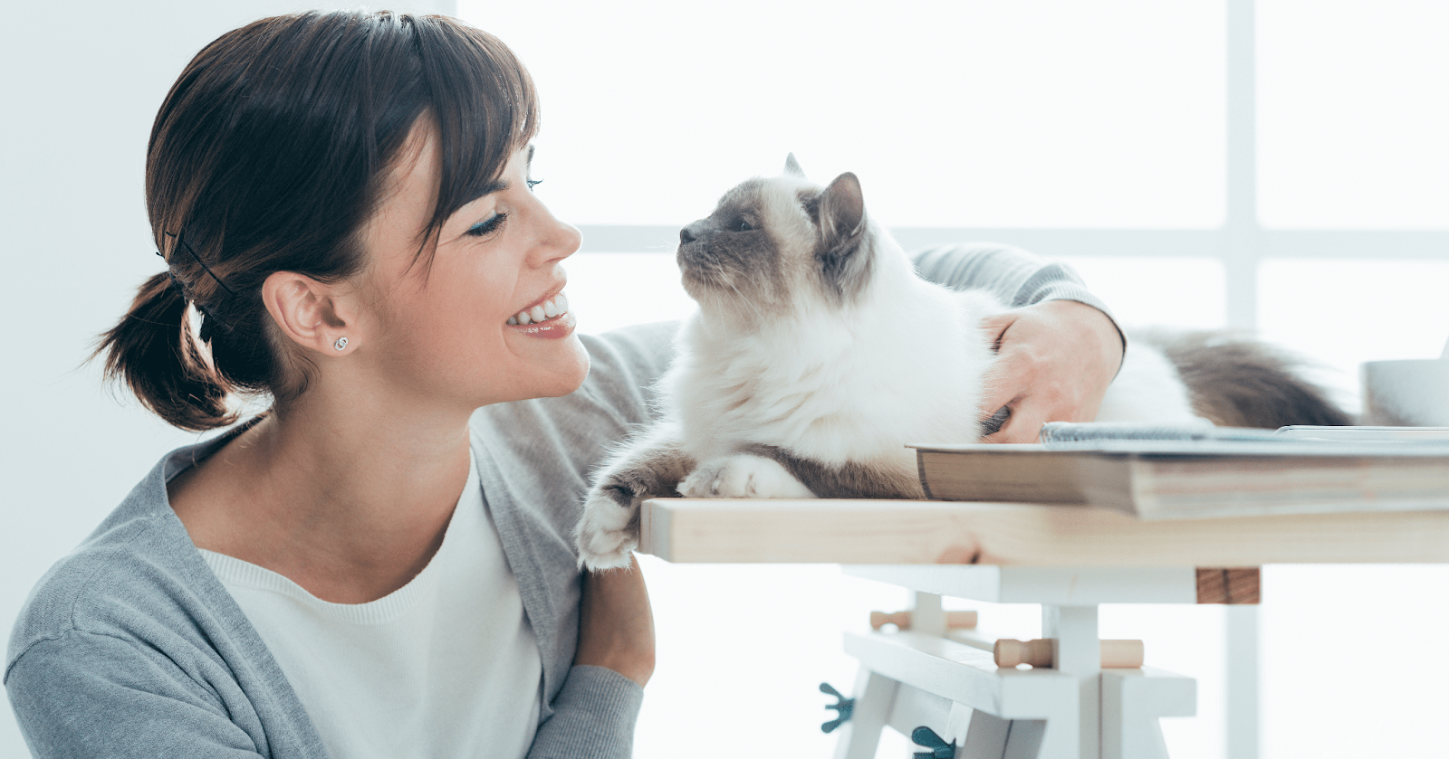 cat resting on desk with woman smiling
