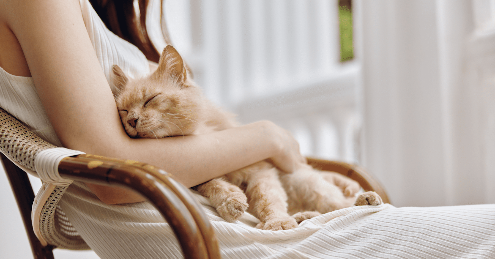 ginger cat asleep in woman's lap
