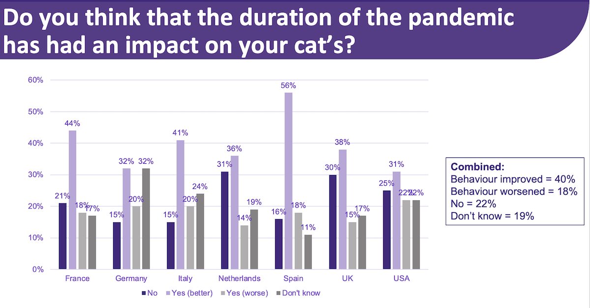 the impact of the pandemic on cat behaviour