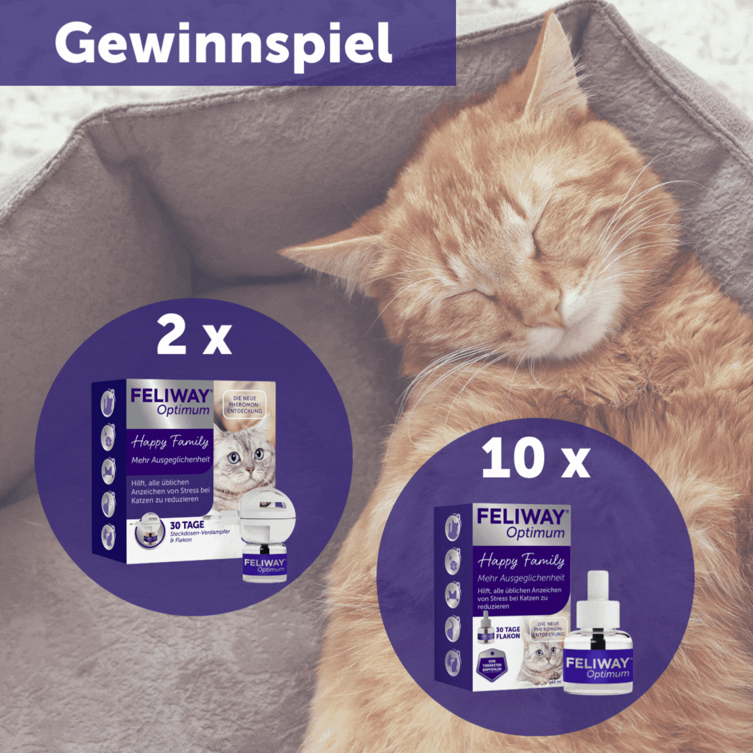 Gewinnspiel großes FELIWAY Optimum Paket