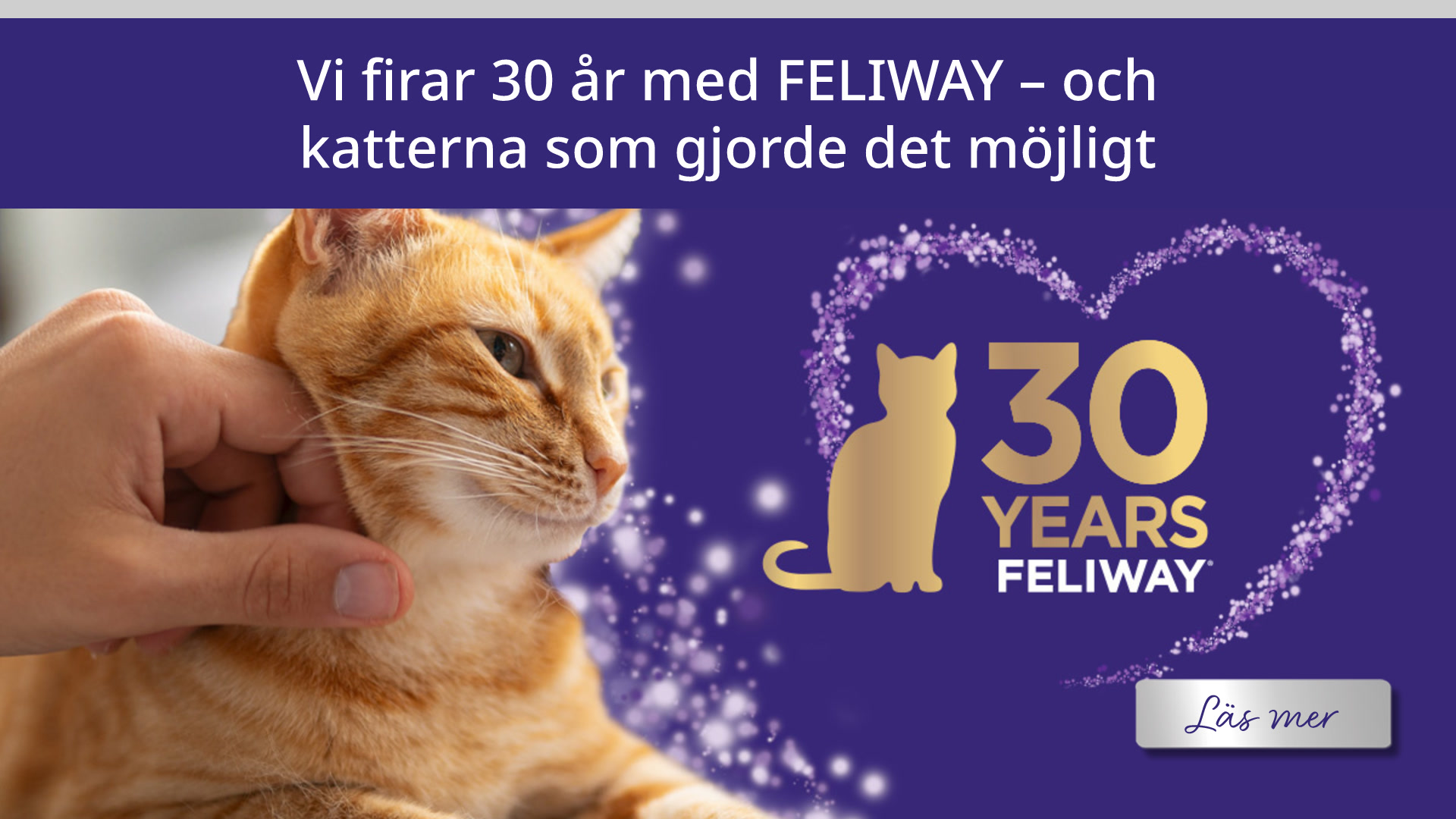 Vi firar 30 år med FELIWAY - och katterna som gjorde det möjligt