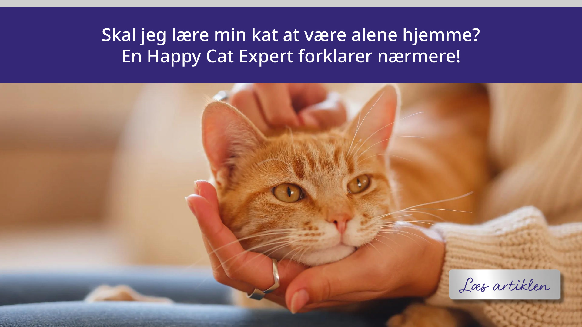 Skal jeg lære min kat at være alene hjemme?