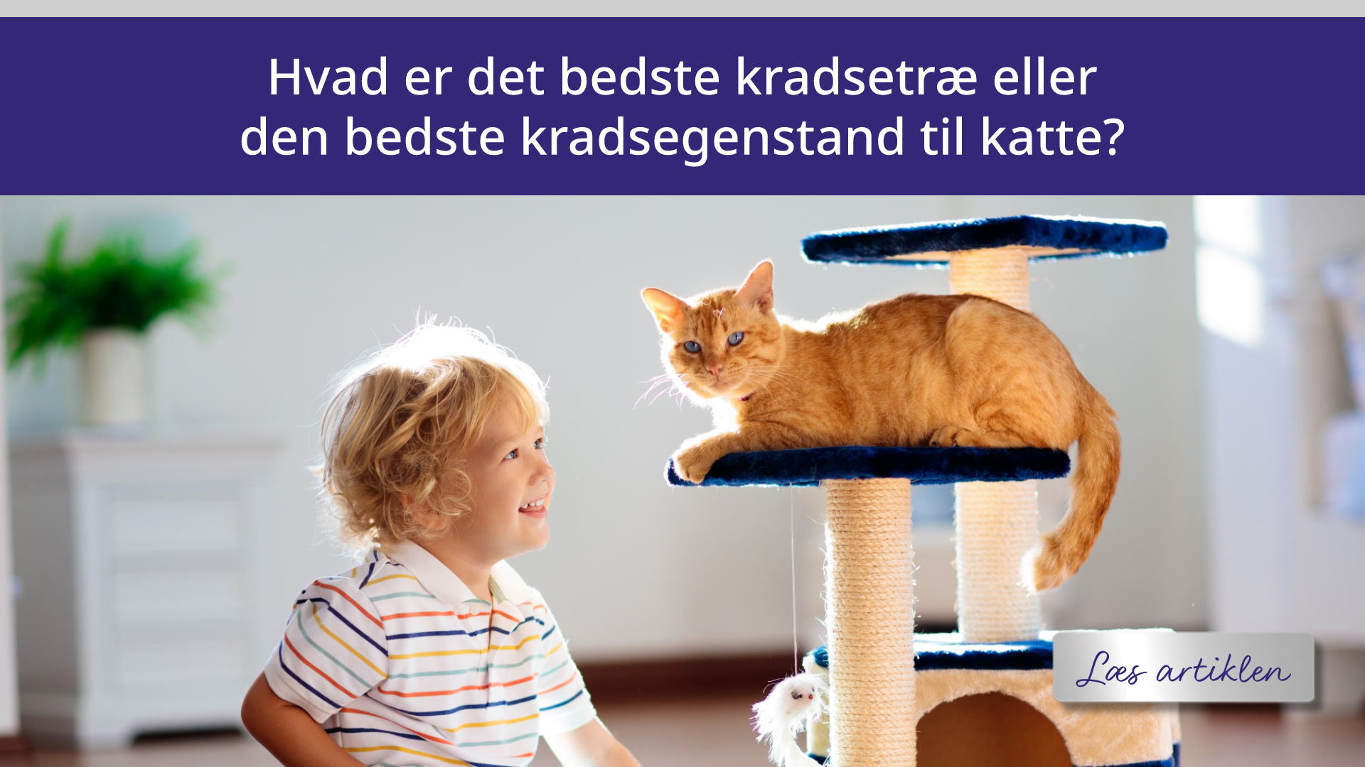 Hvad er det bedste kradsetræ eller den bedste kradsegenstand til katte?