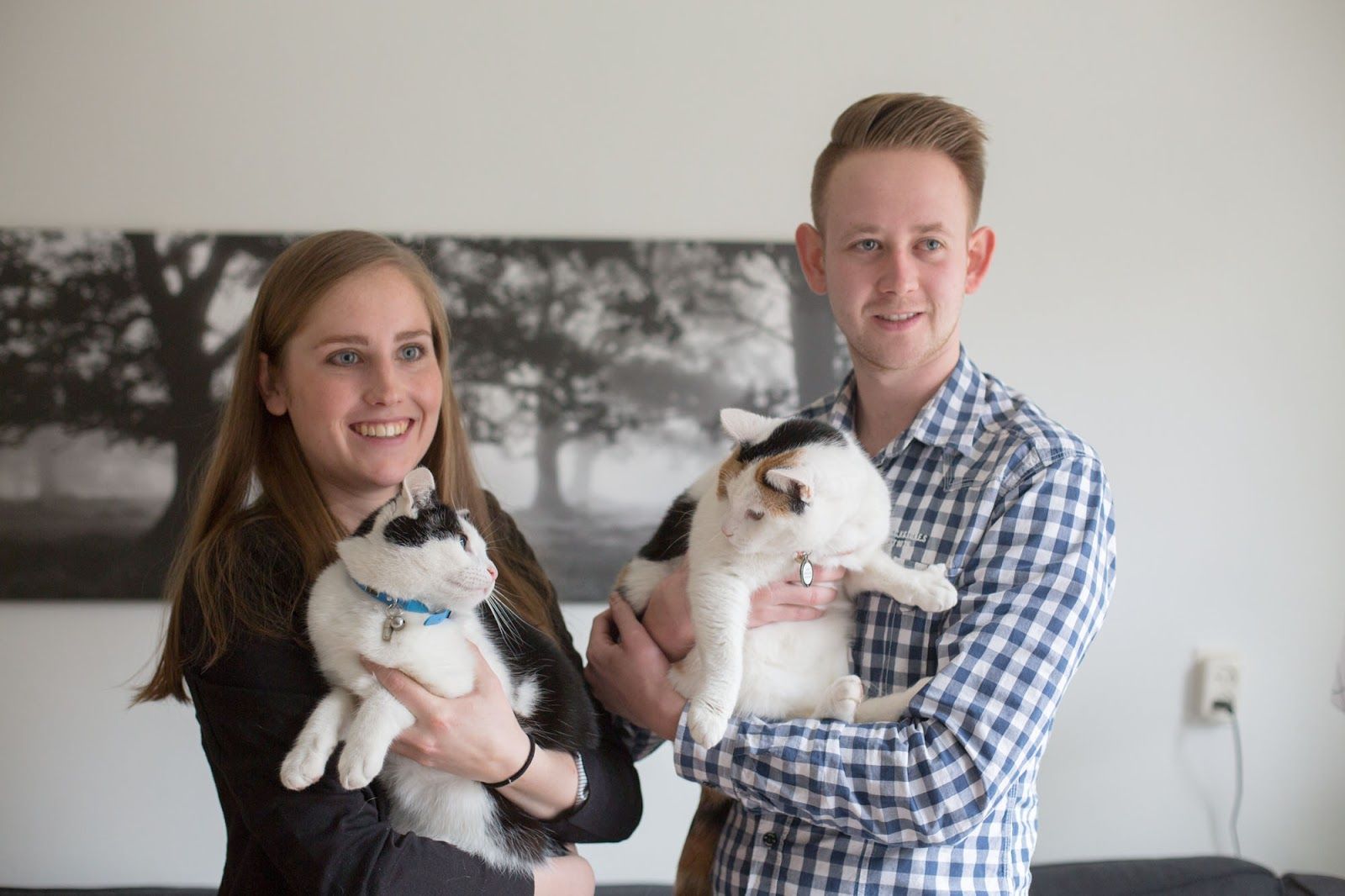 How Cats Speak To Each Others