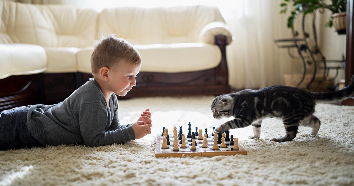 Mit Katzen spielen macht Spaß