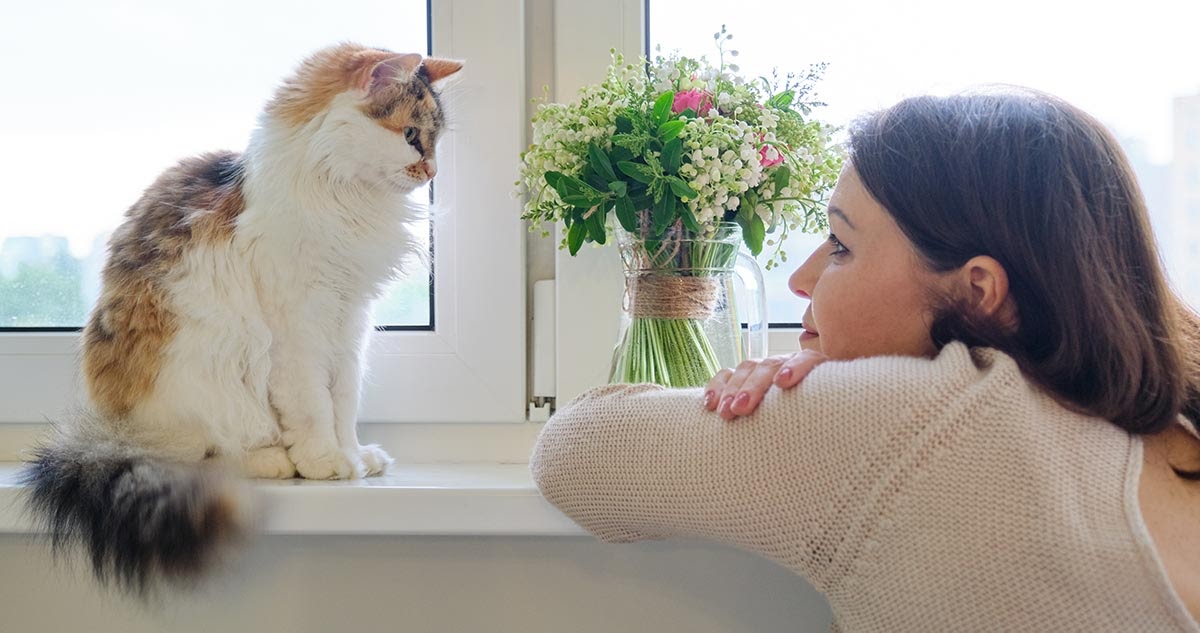 Katzen sind gute Zuhörer