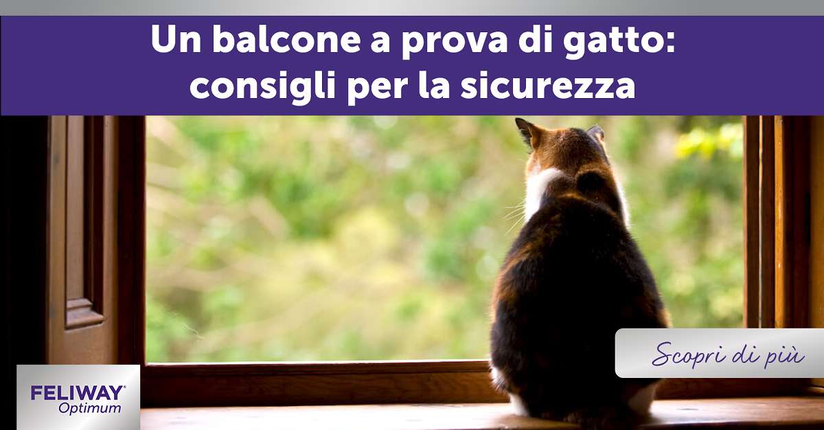 Quando adotti un gatto devi rendere sicuri sia la casa che il balcone