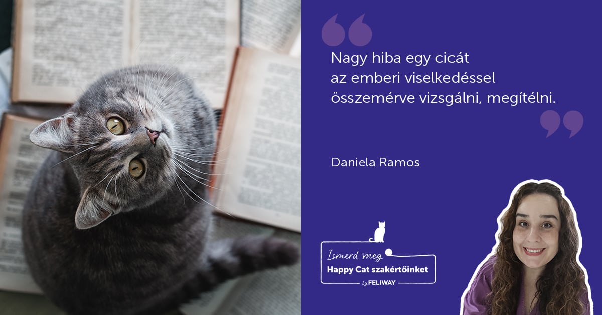 Happy Cat Szakértő: Soha ne ítélj meg egy macskát a látszat alapján!
