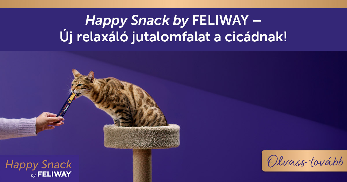 Happy Snack by FELIWAY – Új relaxáló jutalomfalat a cicádnak!