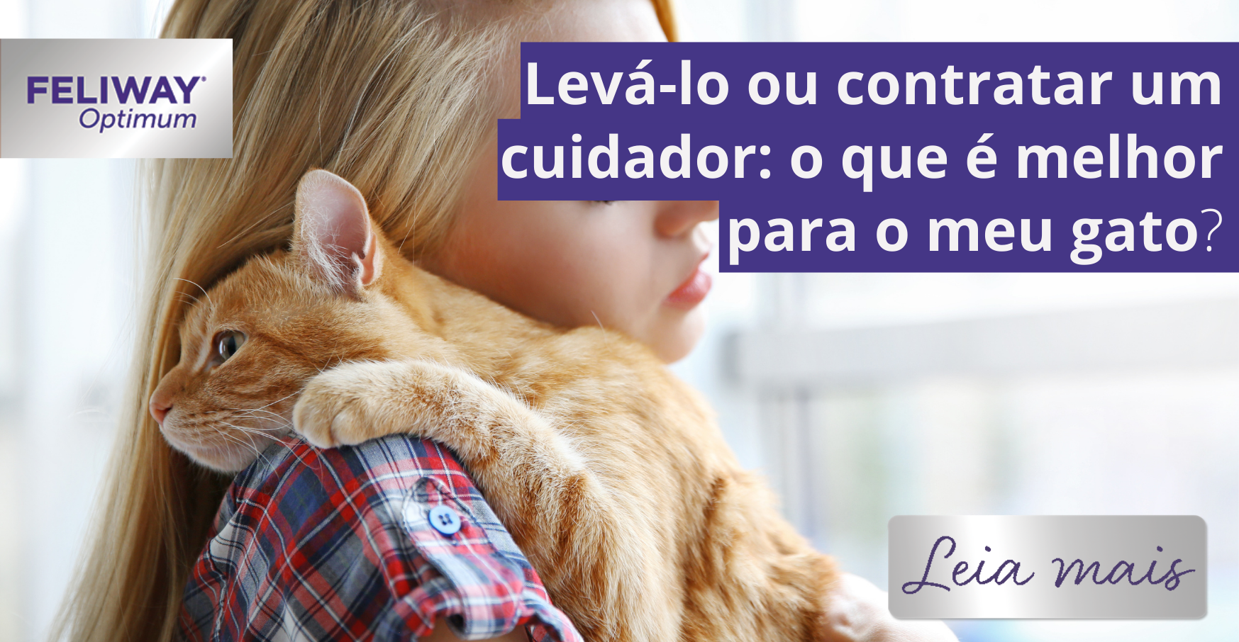 Pet sitter ou hotelzinho: onde deixar o gato quando viajar?