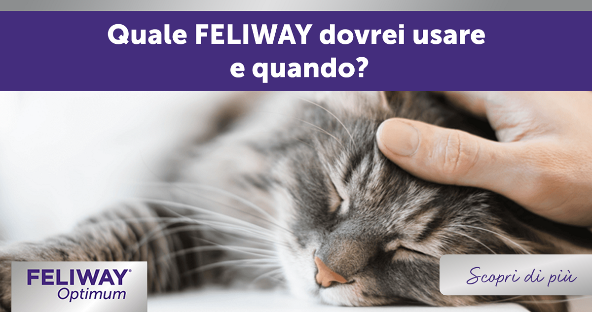 Feliway Optimum, per gatti felici come mai prima - 15'' 