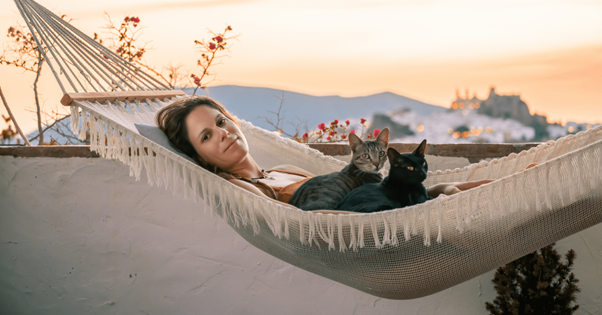 chats avec leur propriétaire sur un hamac